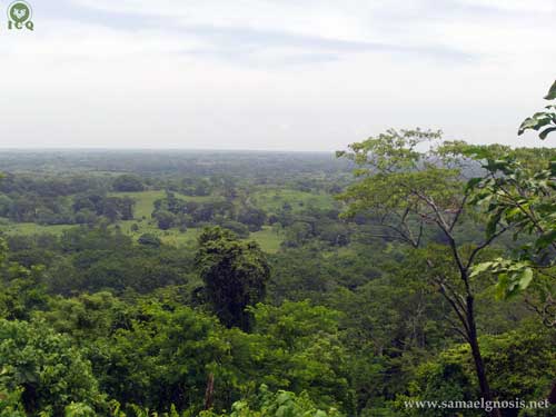 Paisaje de la naturaleza de la Zona Arqueológica de Palenque Chiapas. 