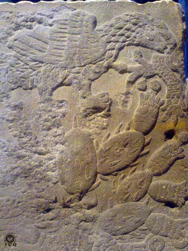 Fundación de México detalle de la Piedra del “Templo” [Teocalli] (Museo de Antropología e Historia México) 