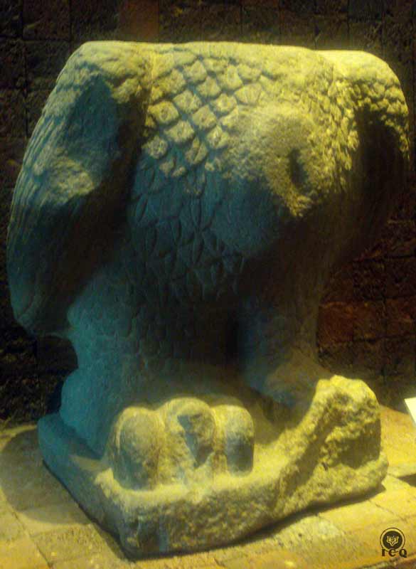 Águila Decapitada indicando la muerte del Yo. 
En este aspecto muestra el acabar con el mal uso de la mente
(Museo de Antropología e Historia México)

