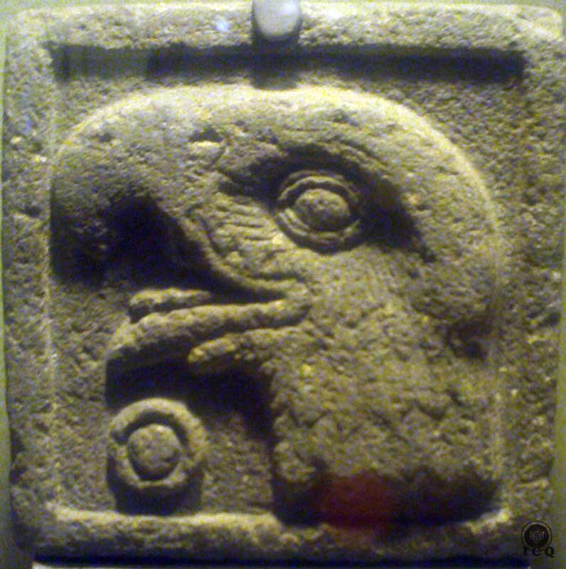 Numeral Uno águila (Museo de Antropología e Historia México)
