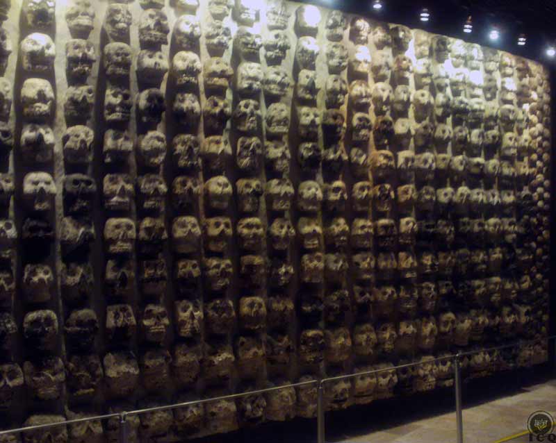 “Muro de cráneos” [Tzompantli]. 
(Museo del Templo Mayor, México)
