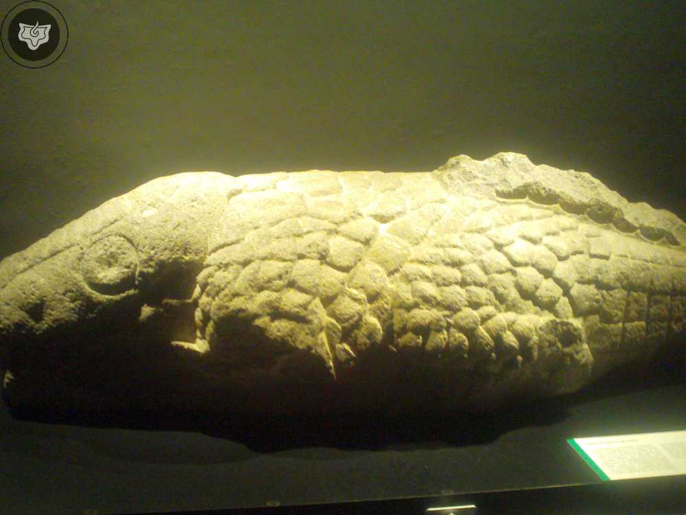 Templo Mayor Foto 0340