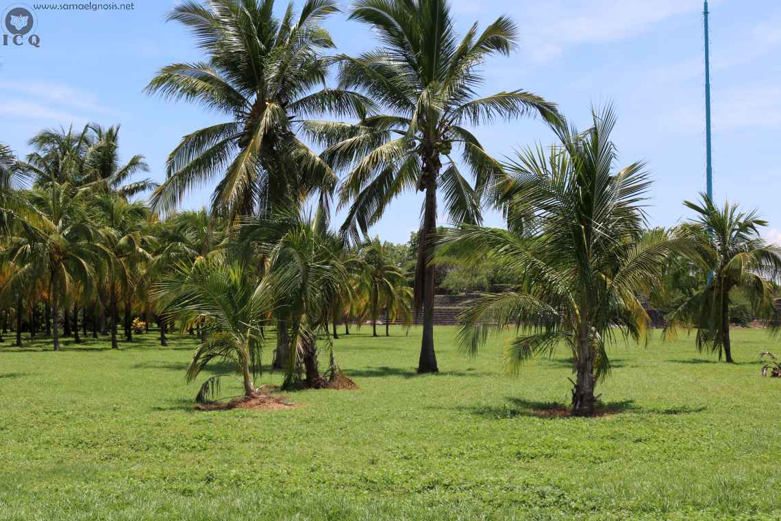 Zona Arqueológica de Cempoala Foto 065