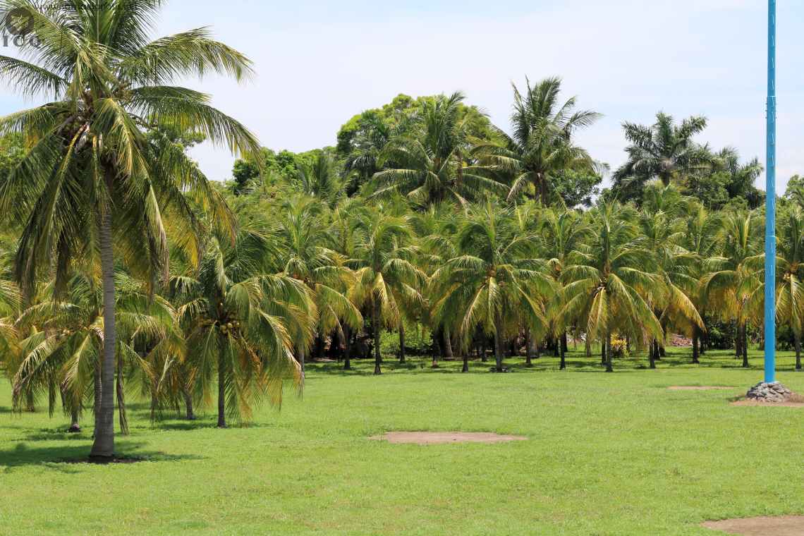 Zona Arqueológica de Cempoala Foto 131