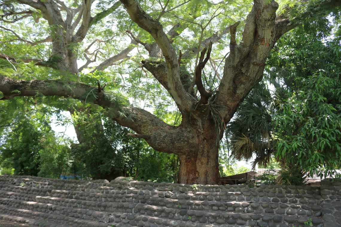 Zona Arqueológica de Cempoala Foto 148