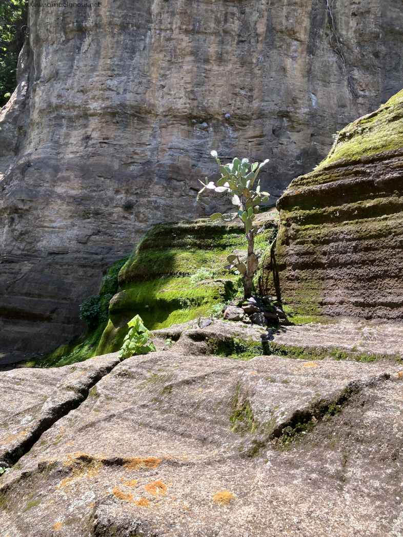 Zona Arqueológica de Malinalco Foto 050