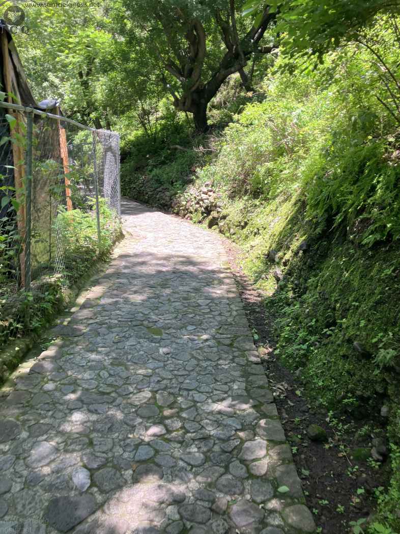 Zona Arqueológica de Malinalco Foto 062