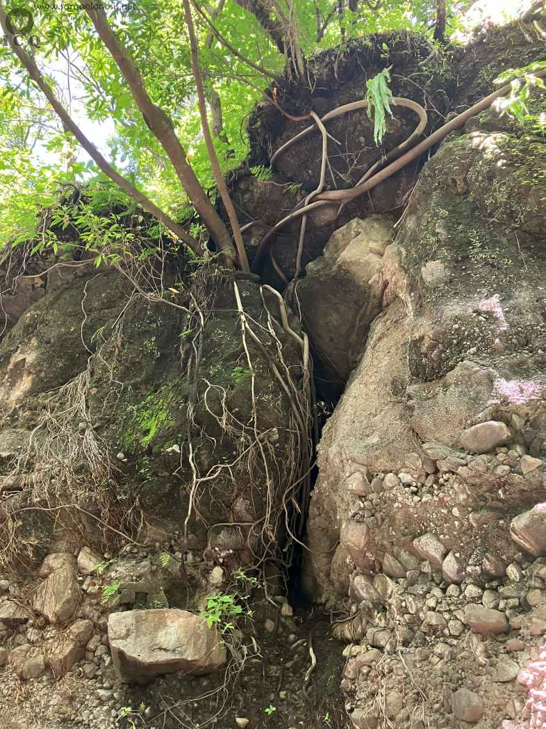 Zona Arqueológica de Malinalco Foto 064