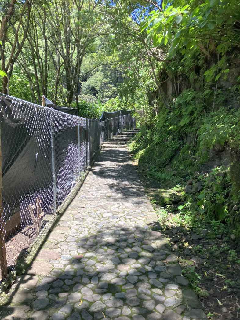 Zona Arqueológica de Malinalco Foto 066