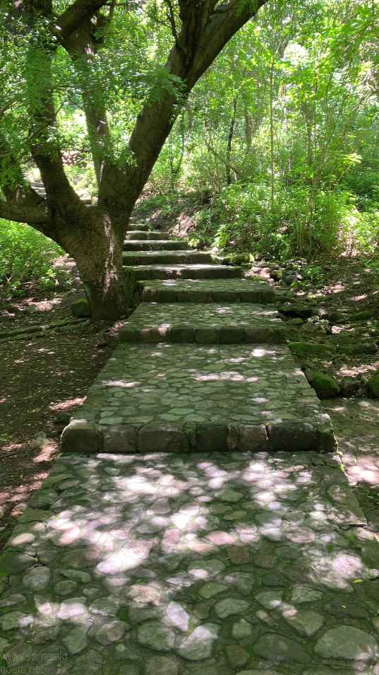 Zona Arqueológica de Malinalco Foto 071