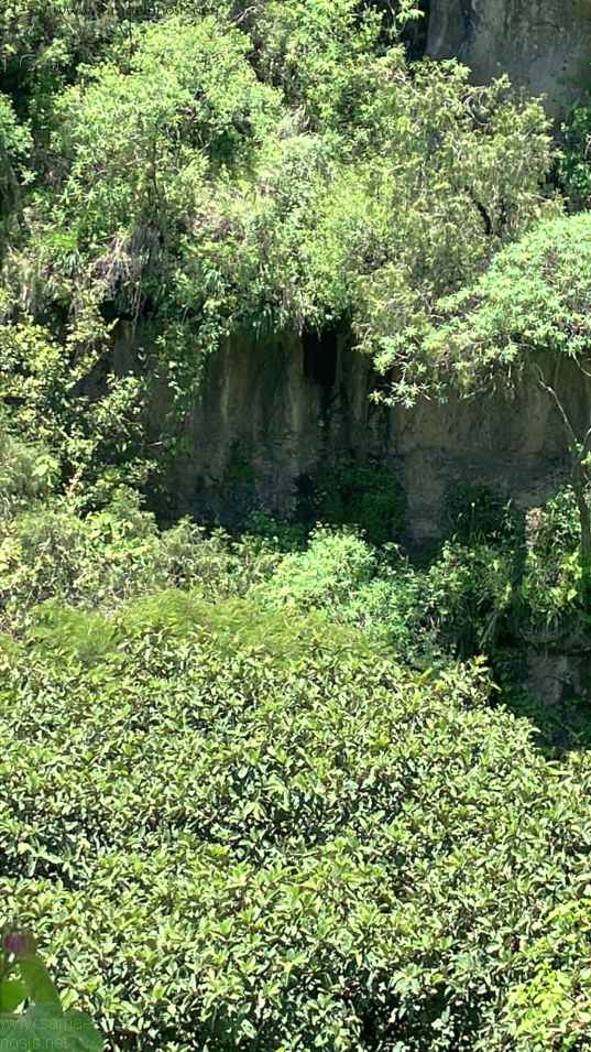 Zona Arqueológica de Malinalco Foto 075