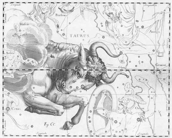 Imagen: Taurus. Johannes Hevelius. 1690.