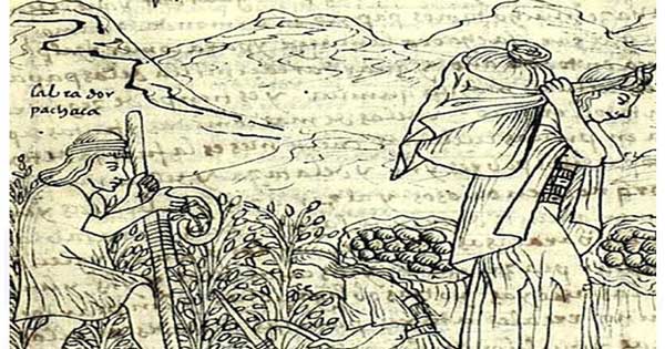 Felipe Huamán Poma de Ayala. siglo 16 ilustración agricultura