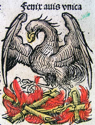 EL AVE FÉNIX”, HARTMANN SCHEDEL. (1493).